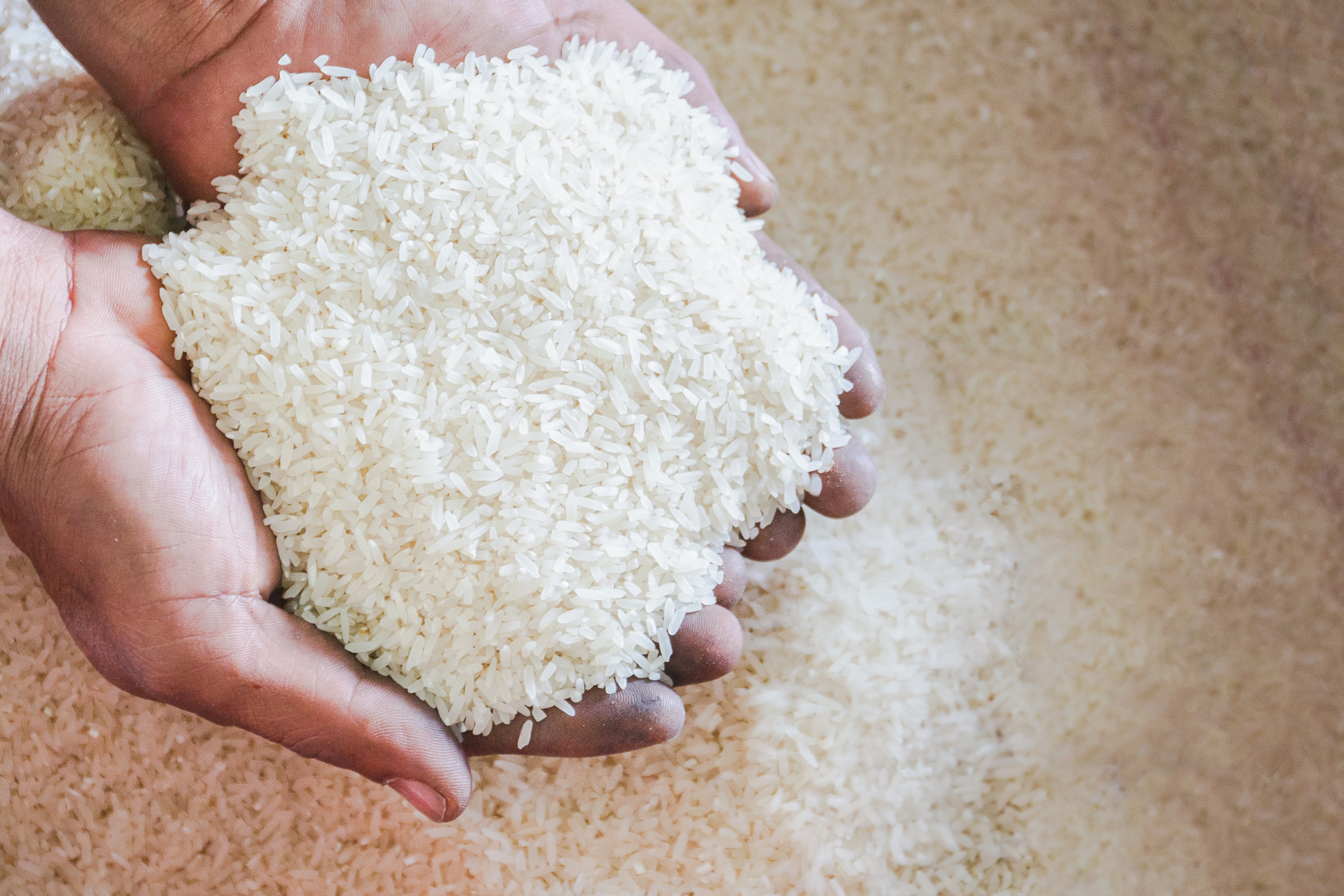 Finest Quality Rice